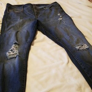 Torrid Jeans